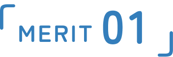 merit 01